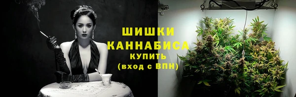 крисы Переславль-Залесский