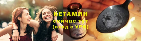 крисы Переславль-Залесский