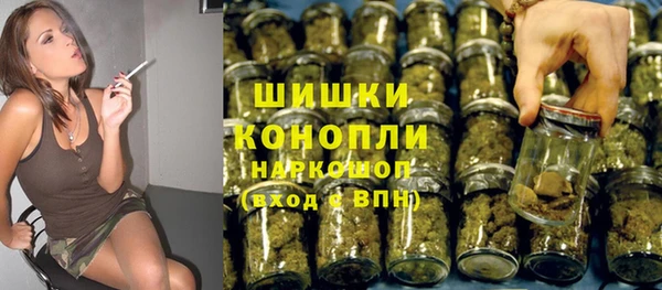 крисы Переславль-Залесский