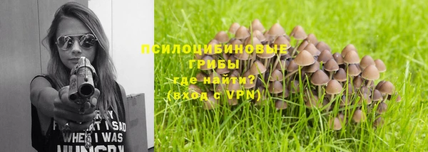 крисы Переславль-Залесский
