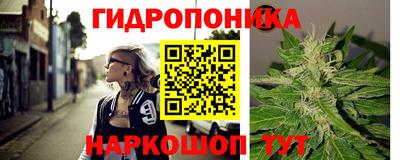 PSILOCYBIN Заволжье